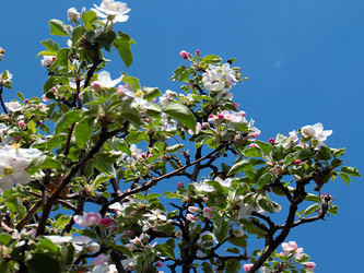 Similar image 21184143