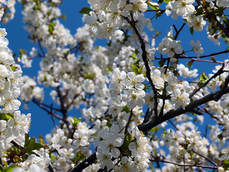 Similar image 21184149