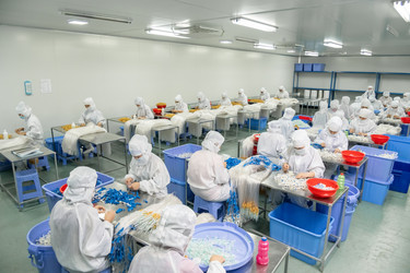 Similar image 21164522