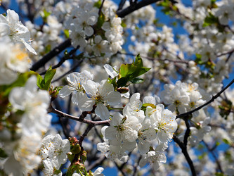 Similar image 21180808