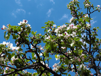 Similar image 21183966