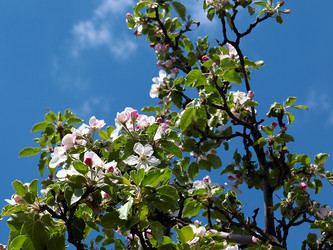 Similar image 21183968