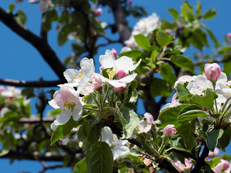 Similar image 21183970