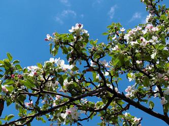 Similar image 21183972