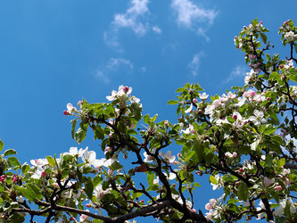 Similar image 21183974