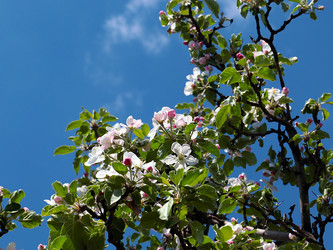 Similar image 21183978