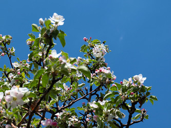 Similar image 21183982