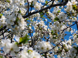 Similar image 21183984