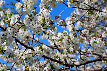 Similar image 21183986