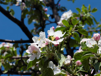 Similar image 21183988