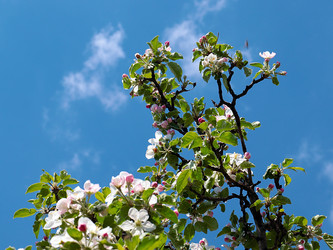 Similar image 21183990