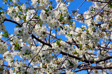 Similar image 21183992