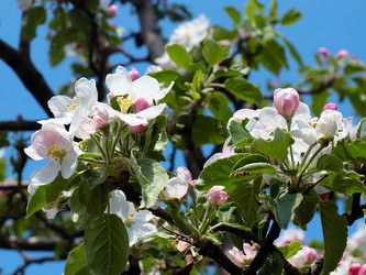 Similar image 21183994