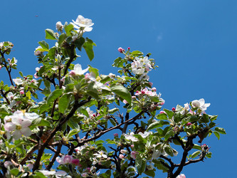 Similar image 21183995