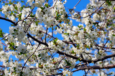 Similar image 21183996