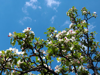 Similar image 21183997