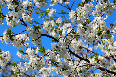 Similar image 21184001