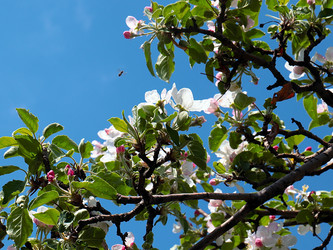 Similar image 21180810