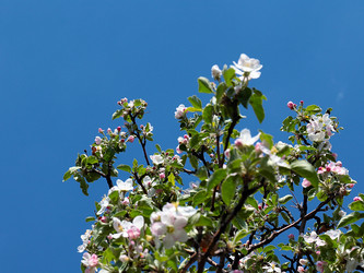 Similar image 21184005