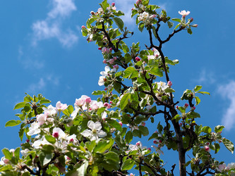 Similar image 21184013