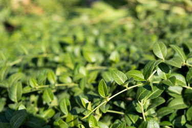 Similar image 21175104