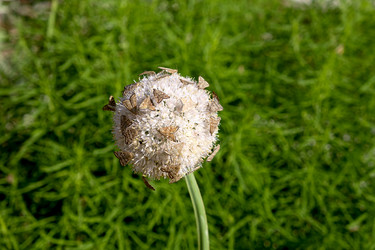 Similar image 21187514