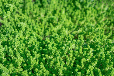 Similar image 21202172