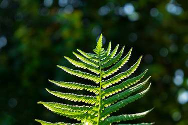 Similar image 21202174