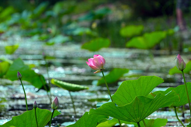 Similar image 21184056