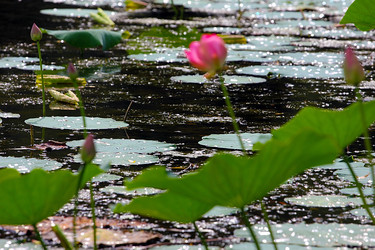 Similar image 21184057