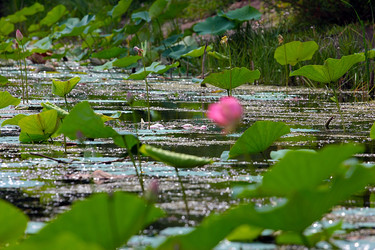 Similar image 21184061