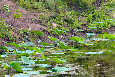 Similar image 21184062