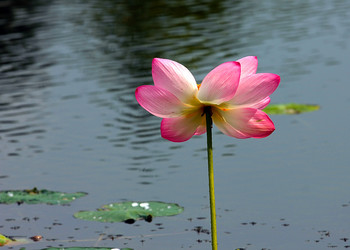 Similar image 21184067