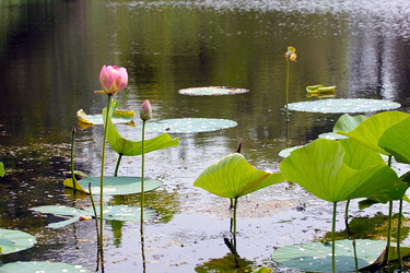 Similar image 21184069