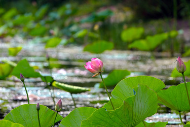 Similar image 21184073