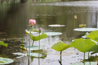 Similar image 21184075