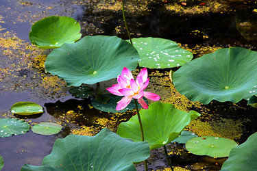 Similar image 21184078