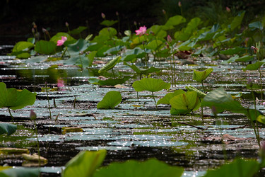 Similar image 21184080