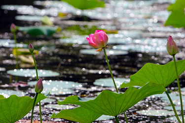 Similar image 21184082