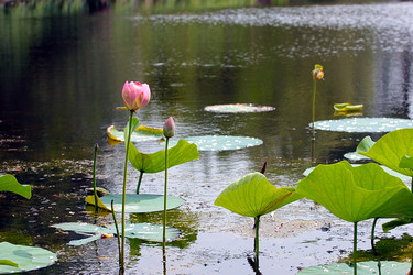 Similar image 21184087