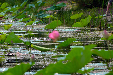 Similar image 21184088