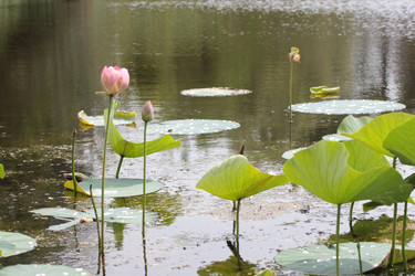 Similar image 21180816