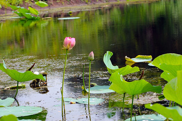 Similar image 21180817