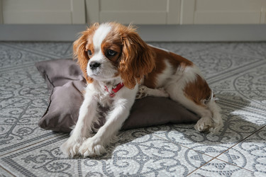 Similar image 21202179