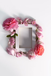 Similar image 21202182