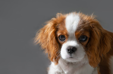 Similar image 21202185