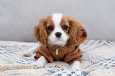 Similar image 21202323