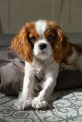 Similar image 21202331