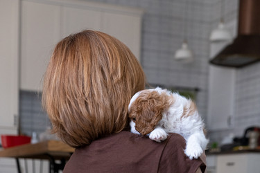 Similar image 21202332