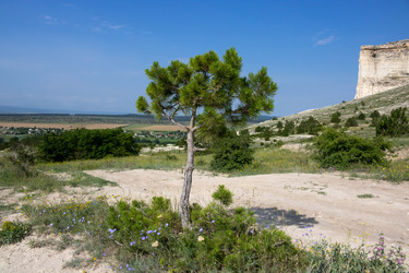 Similar image 21172570